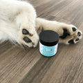 protect dog paw pads, dog paw moisturizing and protection balm