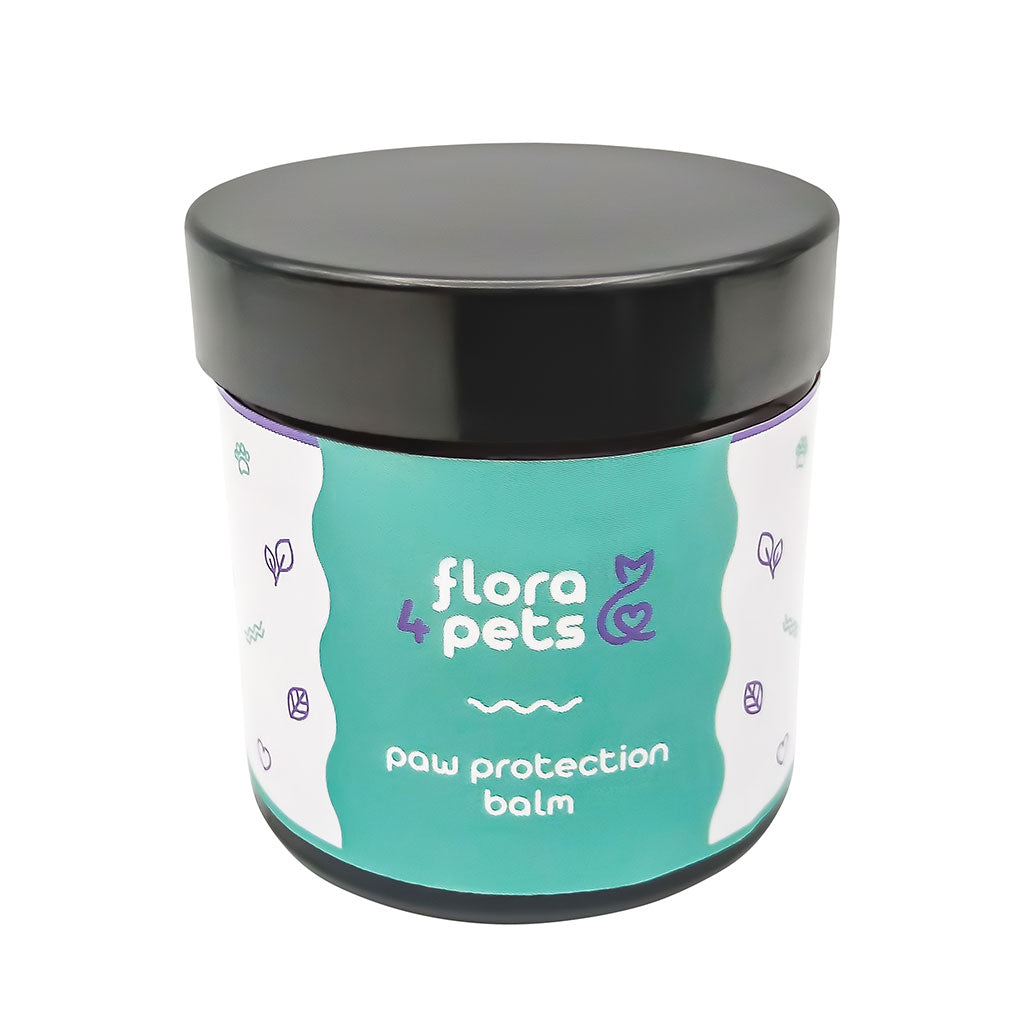 Natural dog paw protection balm for hot pavements and snow