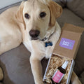 Natural Dog Deodorant - Dog Cologne - Parfume