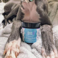 skin and paw healing balm to help dog with cracked, dry paws